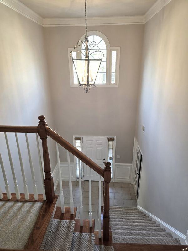 617 Maple Grove Way - Photo 3 of 41