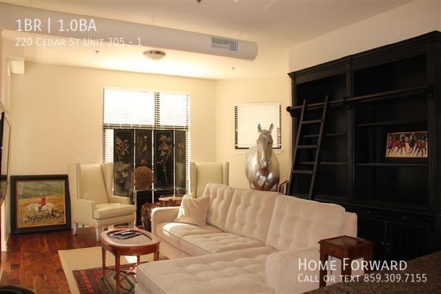 220 Cedar St Apt 305 #1 - Photo 3 of 11