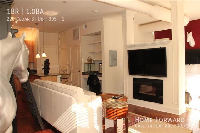 220 Cedar St Apt 305 #1 - Photo 6 of 11