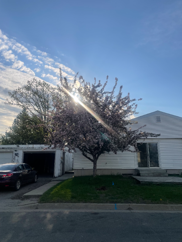 2600 Calihan Ave Ne #A - Photo 3 of 20