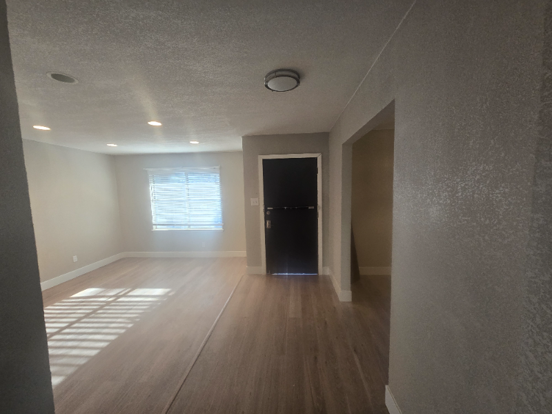 4911 Belle Ellen - Photo 3 of 14