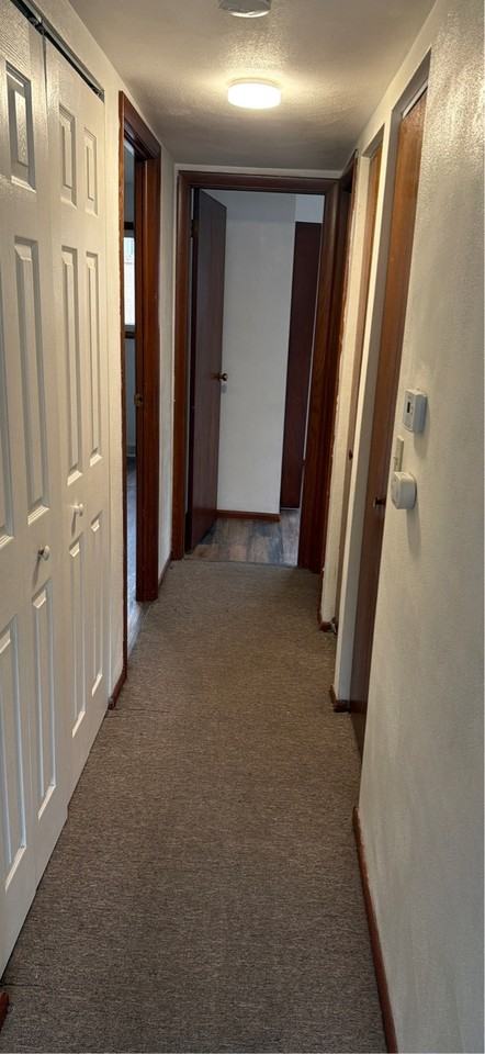 906 5th Avenue South - Photo 4 of 28