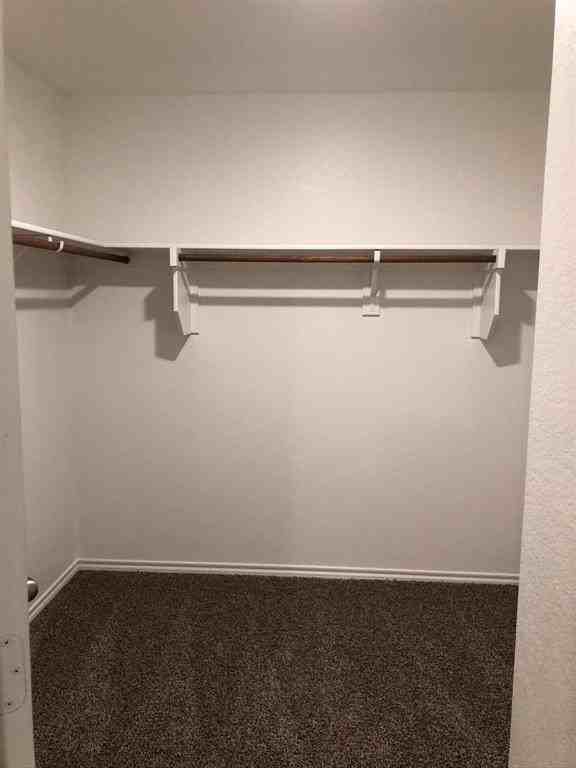 604 Rustic Meadows Trl - Photo 5 of 15