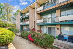featured image of 9274 Adelphi Rd Apt 202 #202