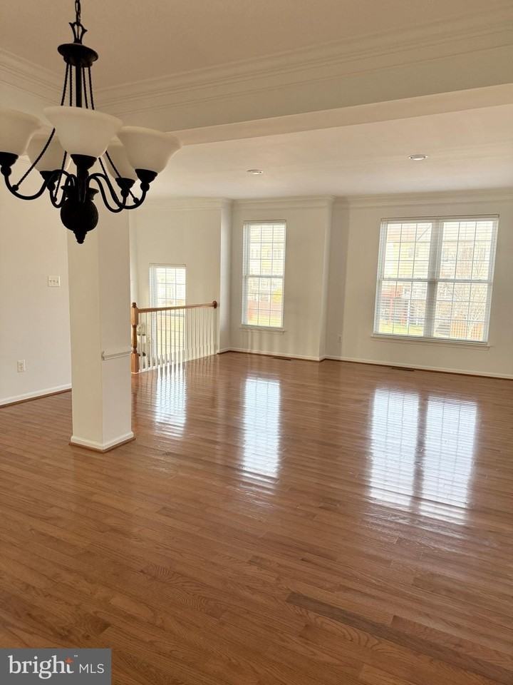 25207 Bald Eagle Ter - Photo 3 of 46