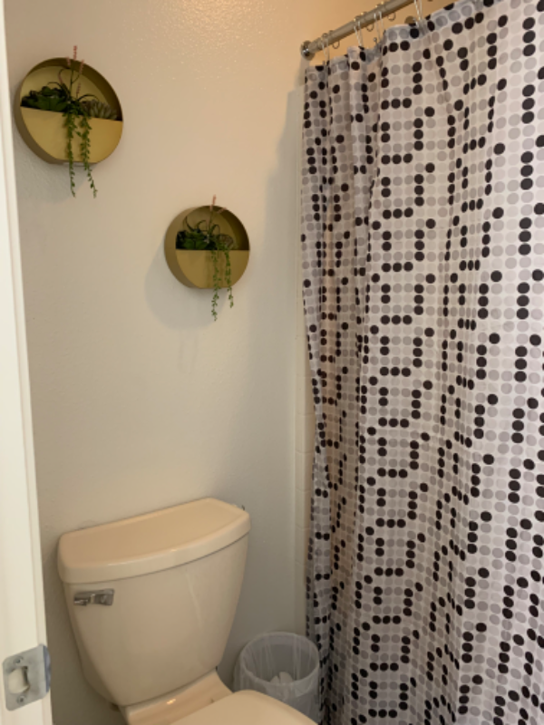 14809 Hidden Palm Ct - Photo 3 of 10