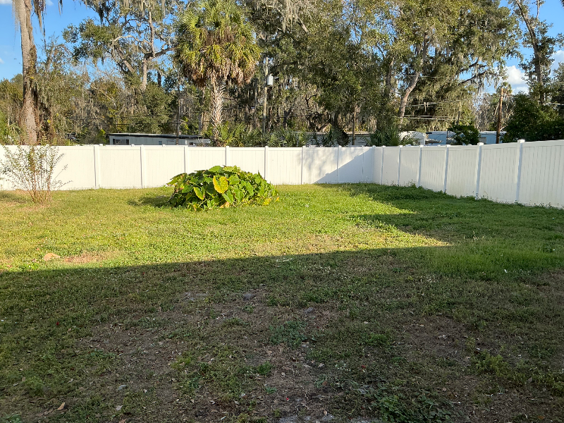 6806 Mathers Ln - Photo 7 of 11