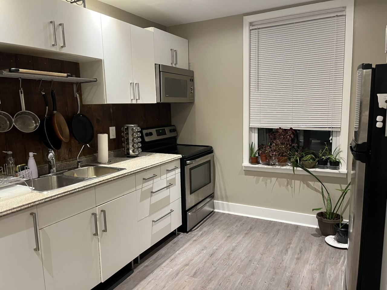 Lower Charlotte St - Photo 5 of 11