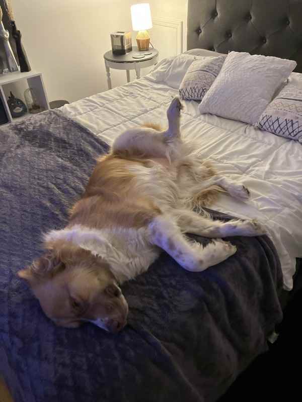 424 S 69th East Ave - Photo 6 of 9