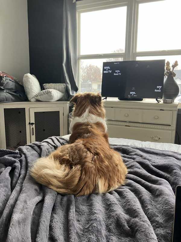 424 S 69th East Ave - Photo 7 of 9