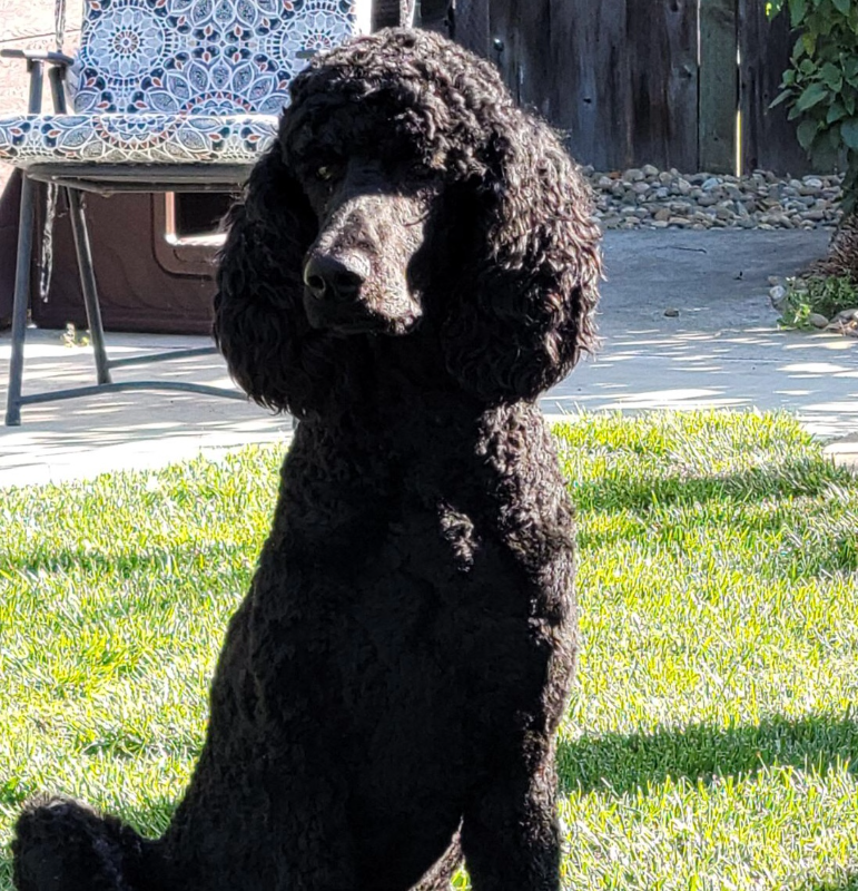 1639 Ne 9th St - Photo 7 of 13