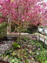 1745 Kilbourne Pl Nw - Photo 1 of 1