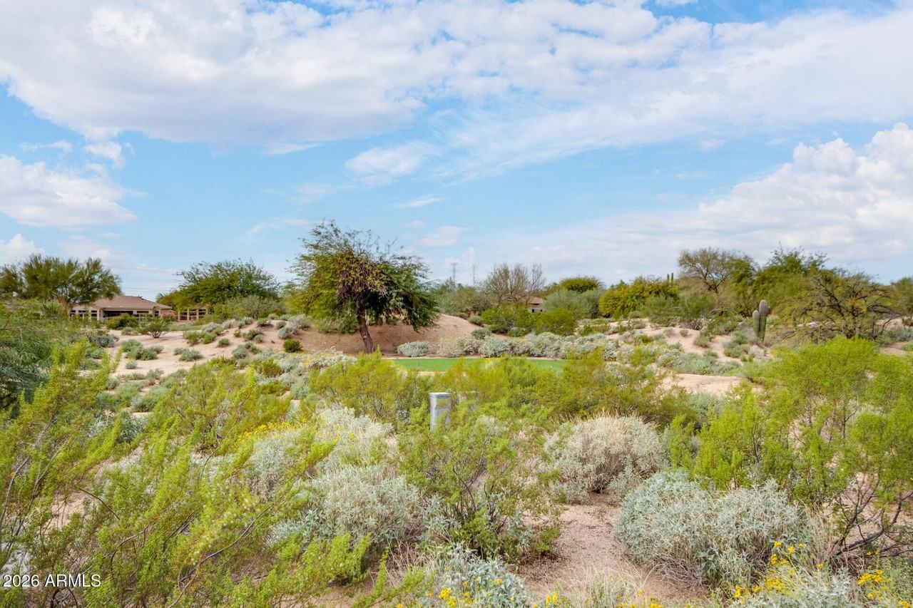 19838 N 84th St - Photo 3 of 50