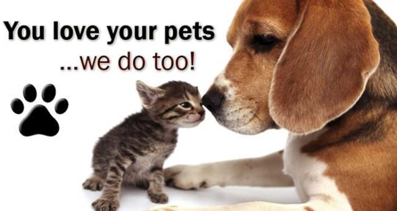 Bloom@Main Street - Photo 7 of 17