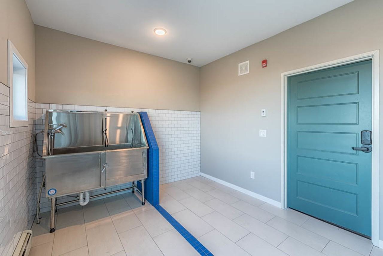 The Edition - Photo 4 of 50