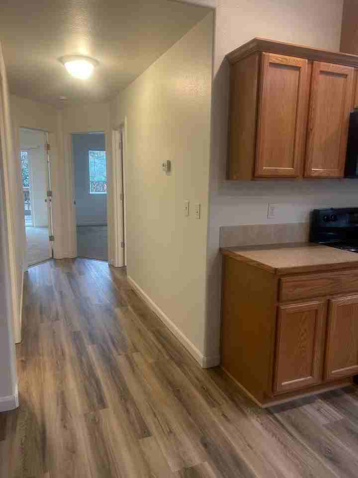 504 College St - Photo 6 of 13