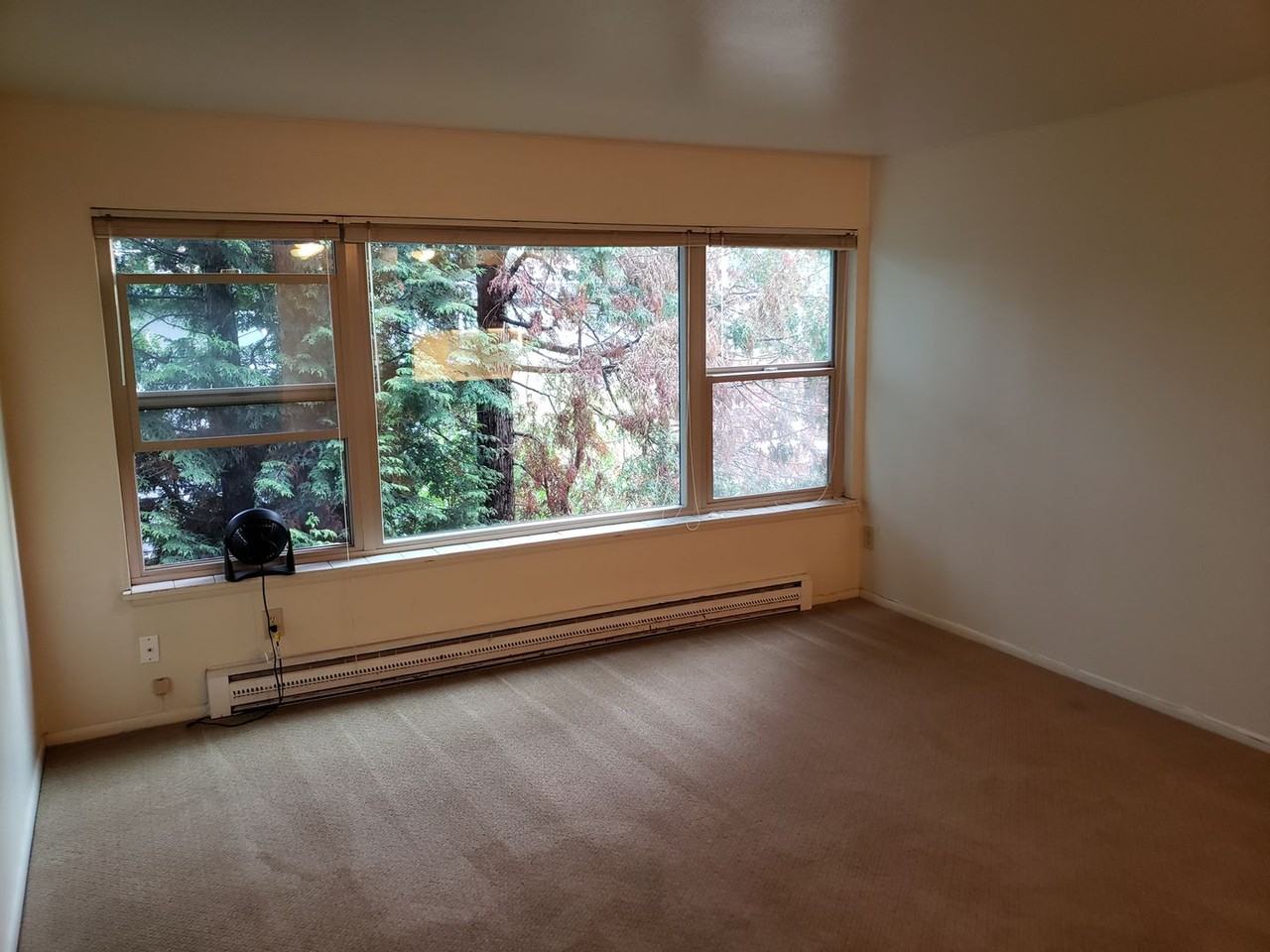 Avante Apartments - Photo 7 of 18