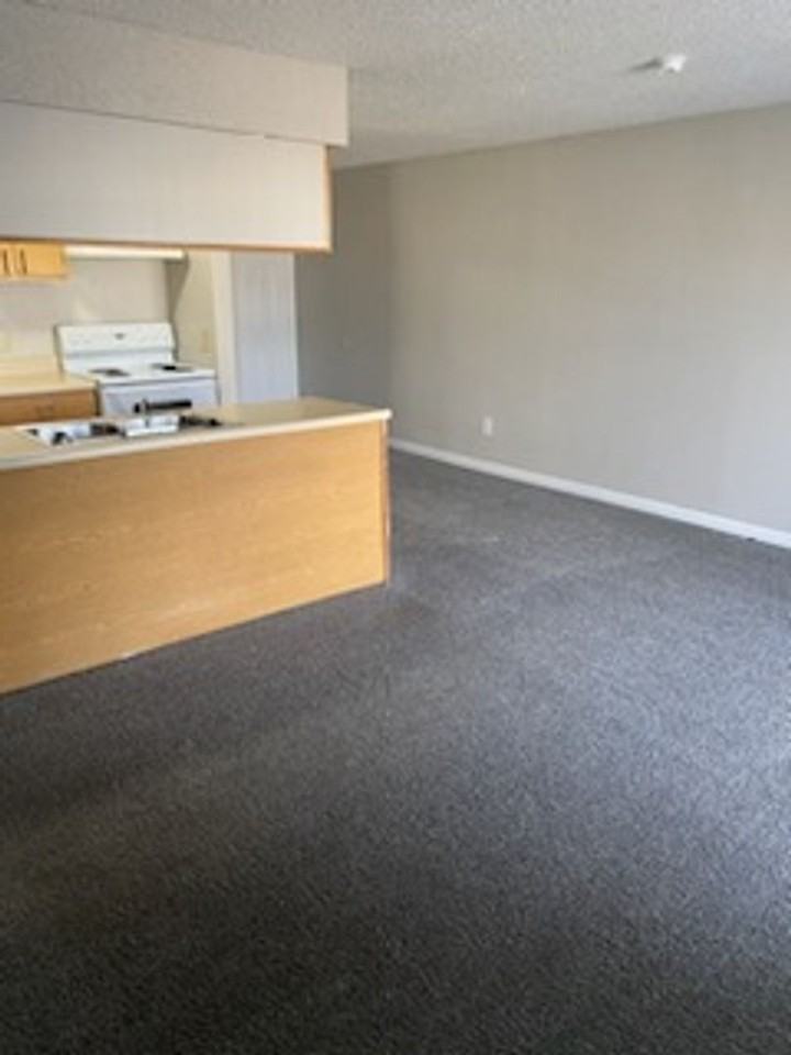 2701 S. Emporia St. - Photo 4 of 50