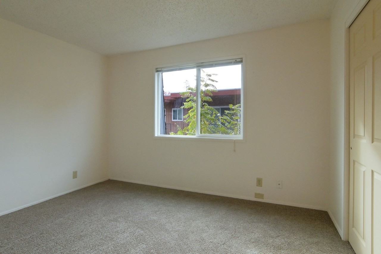 1437 High Street - Photo 4 of 50