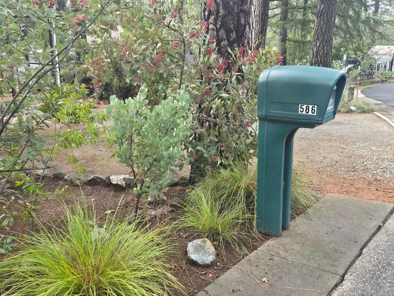 586 Dundee Ct - Photo 4 of 44