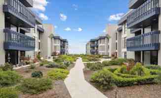 featured image of 350 Paseo De Playa #317