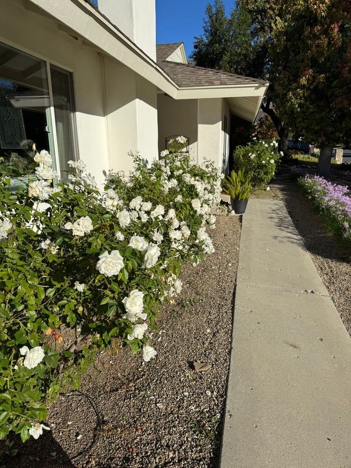 213 Oriole St - Photo 2 of 16