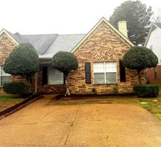 6893 Snyder Rd #1 - Photo 1 of 1