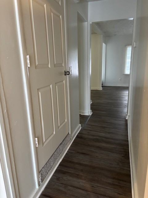 11668 Winthrop St #1 - Photo 3 of 35