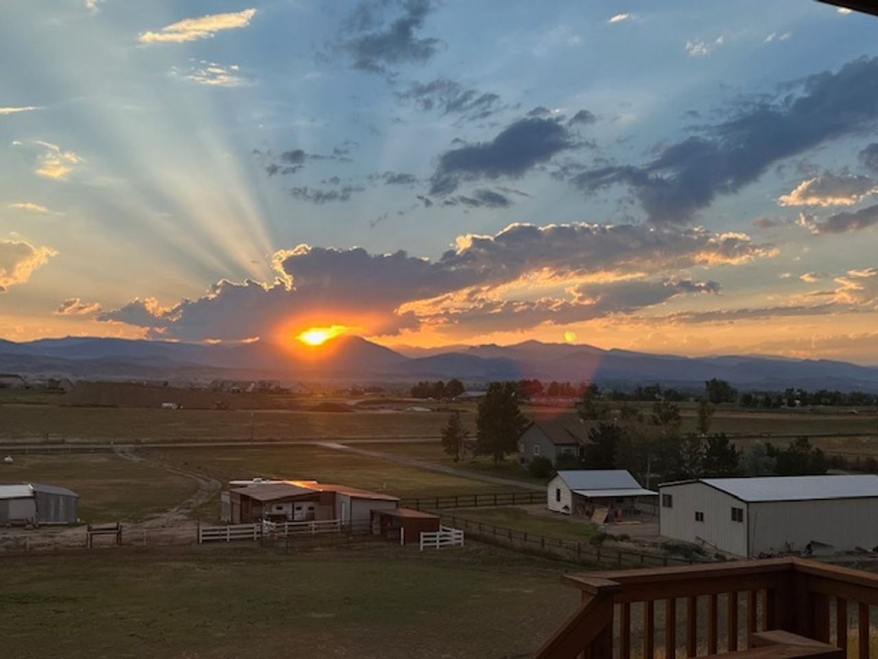 3317 Curlew Dr - Photo 3 of 24