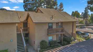 featured image of 403 Orange Blossom #21