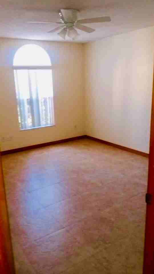 3554 Irish Ln - Photo 3 of 13