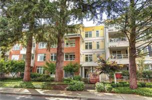 featured image of Marpole Avenue