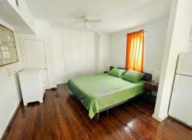 featured image of 199 Spring St