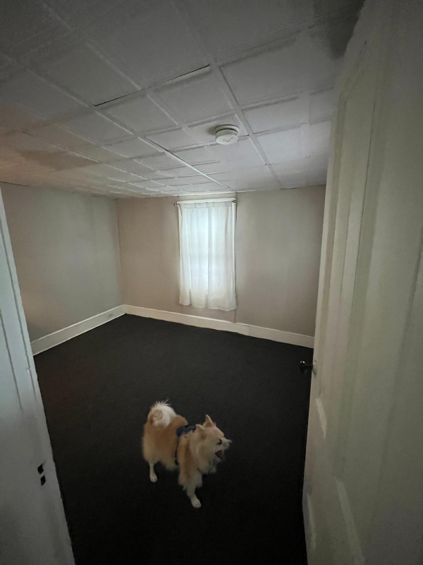 51 Highland Ave #2 - Photo 6 of 10