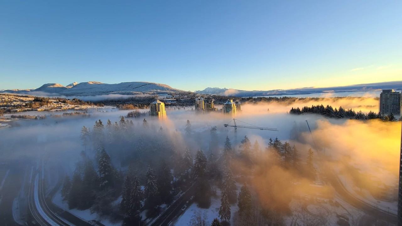 1188 Pinetree Way #3107 - Photo 4 of 19