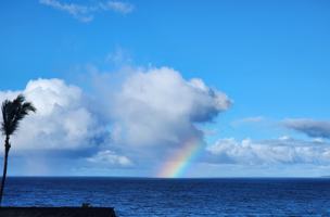 featured image of 1367 Kakae Pl #NA