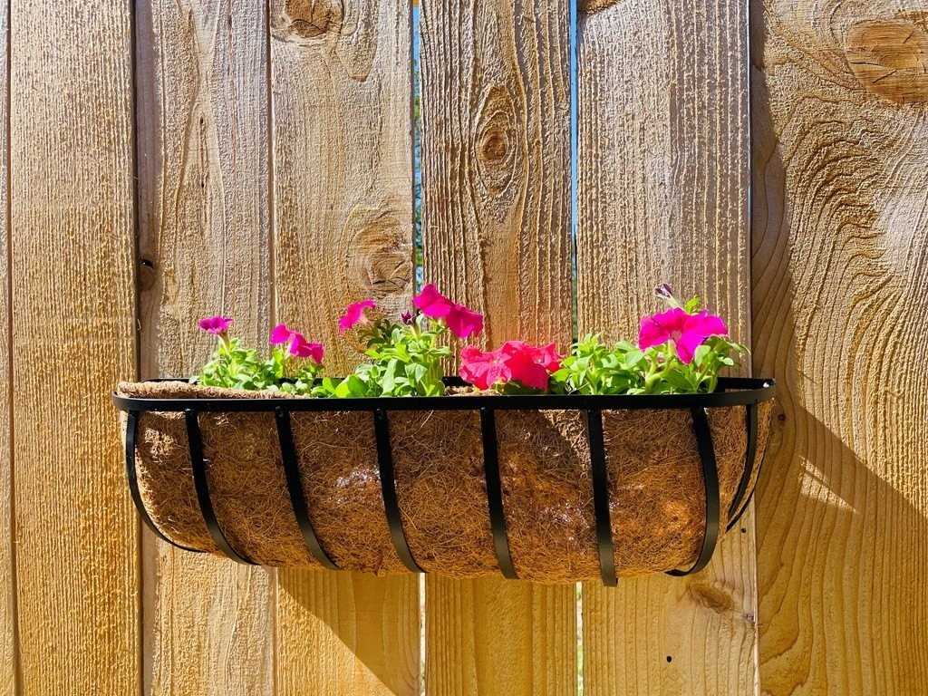 706 Cirrus Ln - Photo 3 of 18