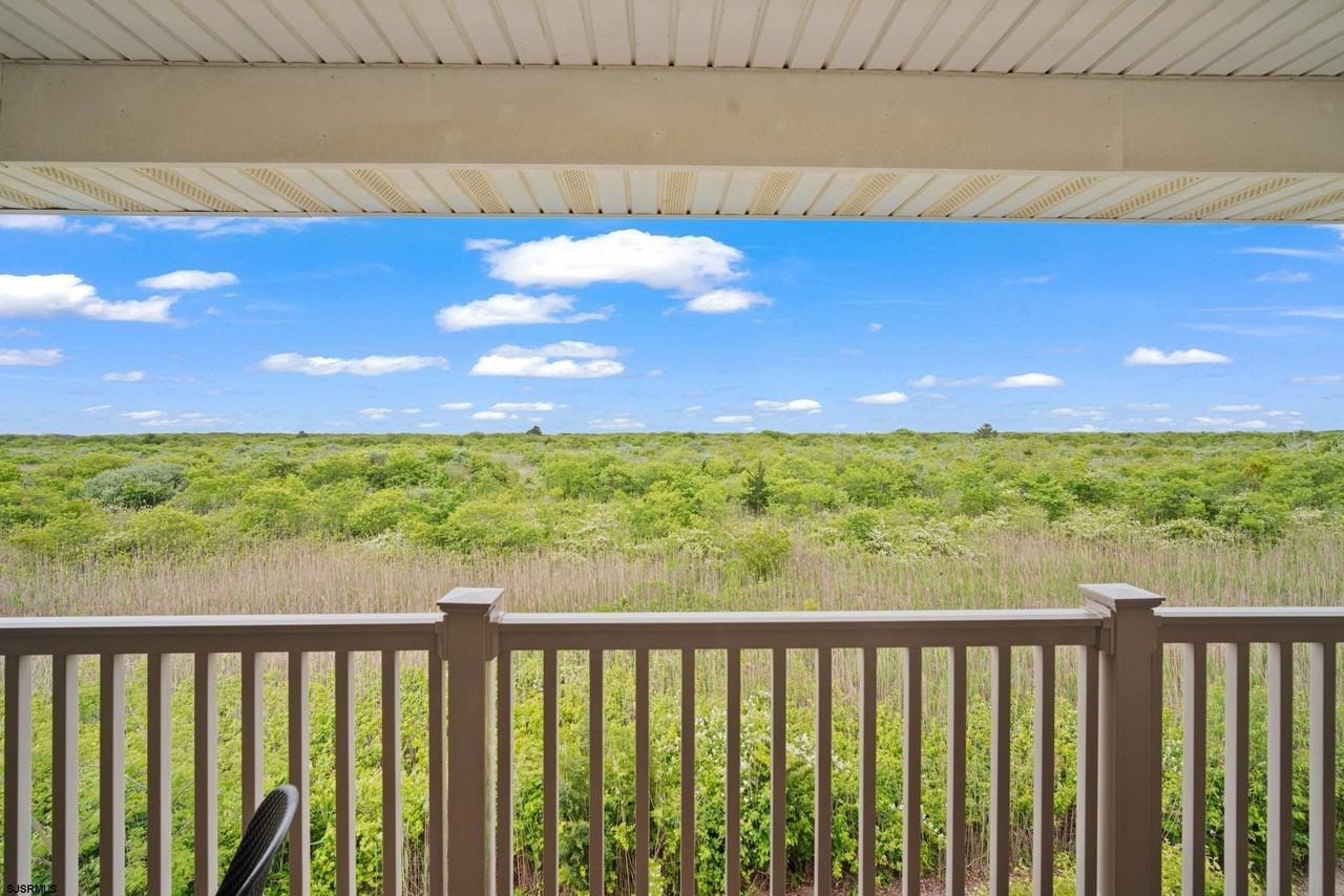 45 Coquille #45 - Photo 7 of 30