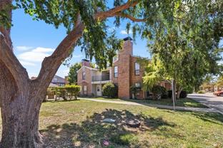 5806 Marvin Loving Dr #210 - Photo 1 of 1