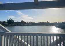 56 Chardonnay #37 - Photo 1 of 1