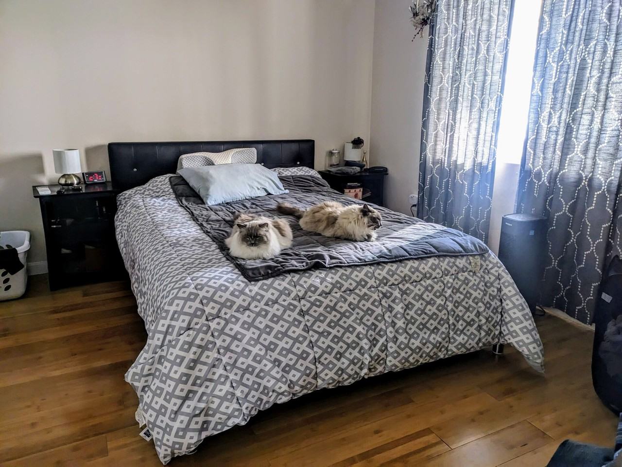 63 Fenno St #1 - Photo 5 of 30