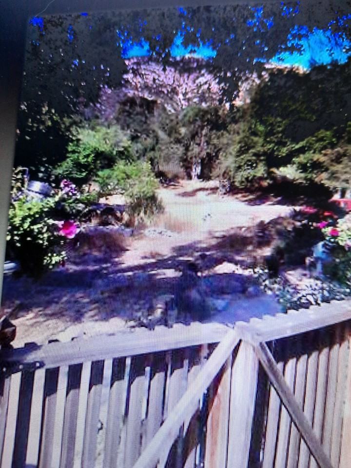 14519 Rios Canyon Rd #C - Photo 5 of 28