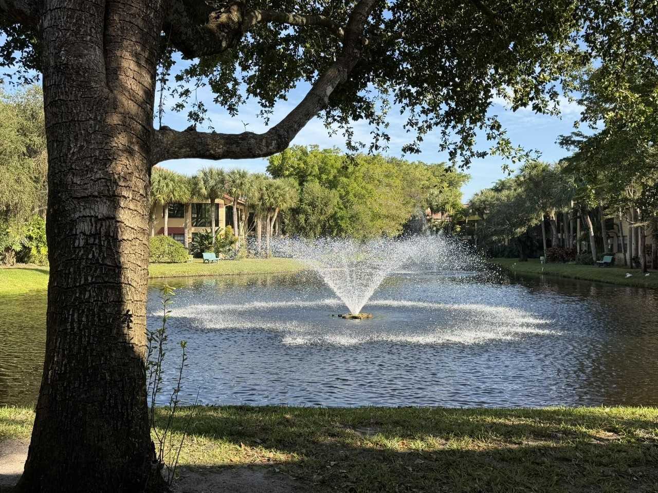 11268 Aspen Glen Dr #103 - Photo 5 of 50