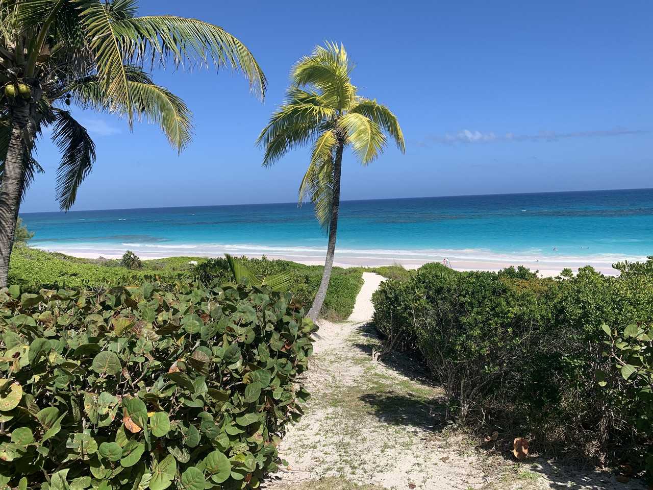 640 Southeast 2nd Avenue #109 - Photo 4 of 6