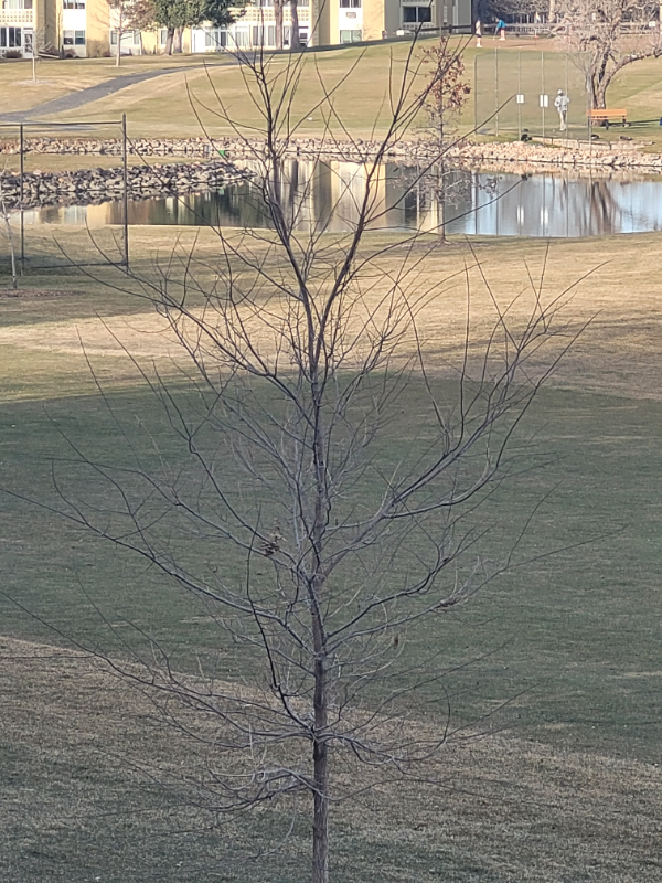 710 S Alton Way #6B - Photo 3 of 12