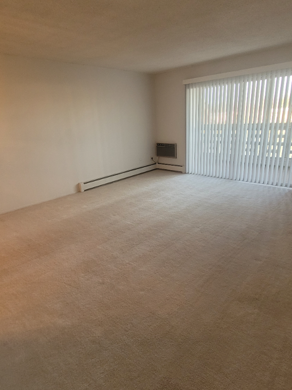 710 S Alton Way #6B - Photo 4 of 12