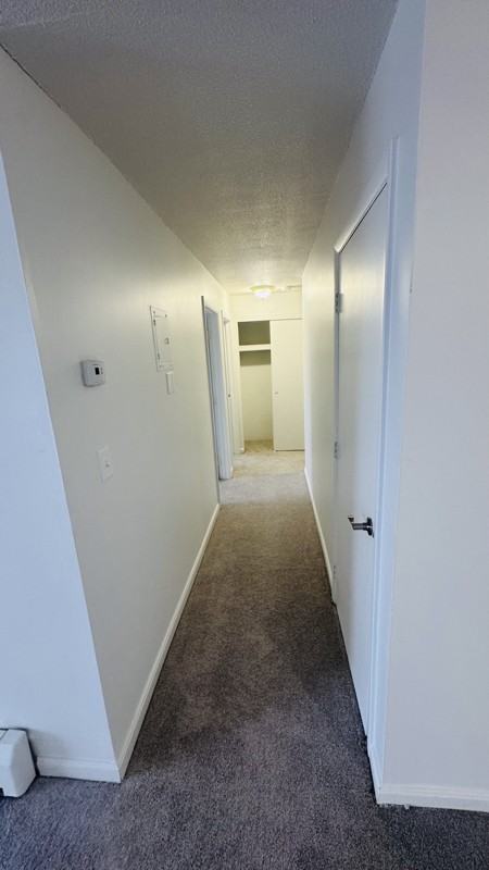 128 Mammoth Rd #24 - Photo 2 of 12