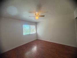 featured image of 21496 Firwood