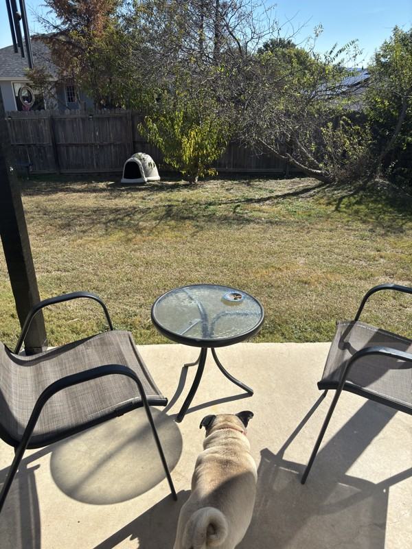 1103 Travis Cir - Photo 7 of 12