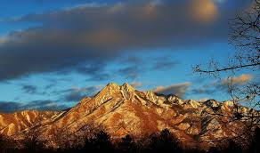 1225 E Wolf Hollow Ln #310 - Photo 5 of 14